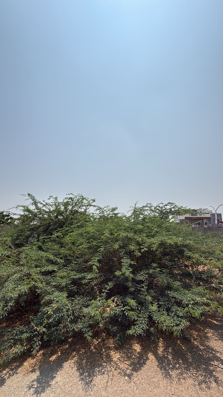 Plot for Sell in Gonal near ayyappa swamy temple,ballari