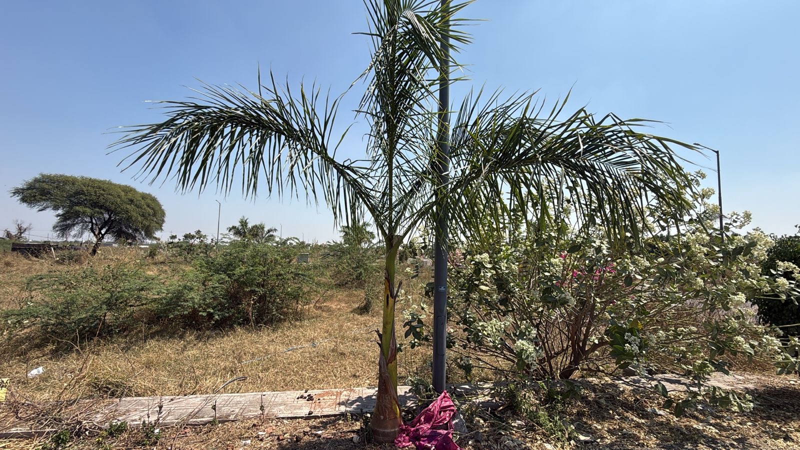 Plot for Sell in MOKA road , near KRS Functional hall , Ballari